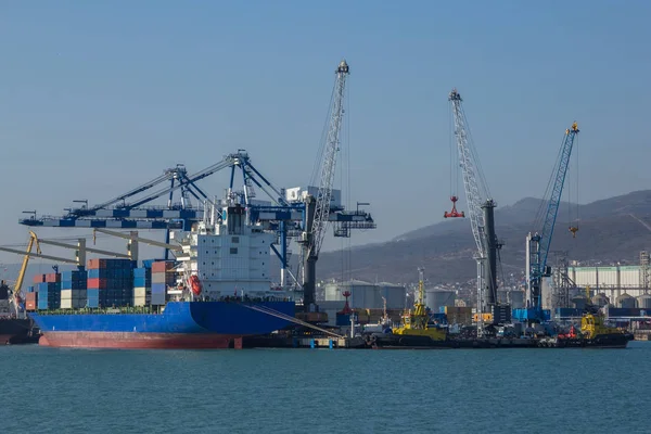 Porto marittimo internazionale di Novorossiysk. Gru carico carico shi — Foto Stock