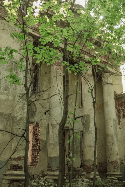 Abandonado arruinado iglesia cubierta en el bosque, Drezgalovo, Lipet — Foto de Stock