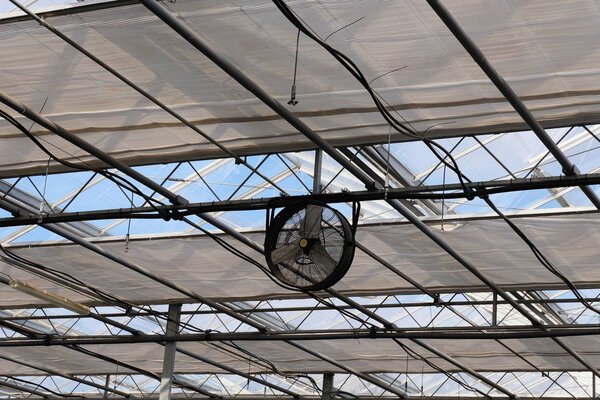 Fan in modern agricultural greenhouse. Greenhouse ventilation system