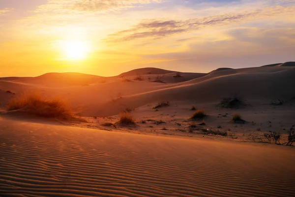 Aube dans le désert des dunes — Photo