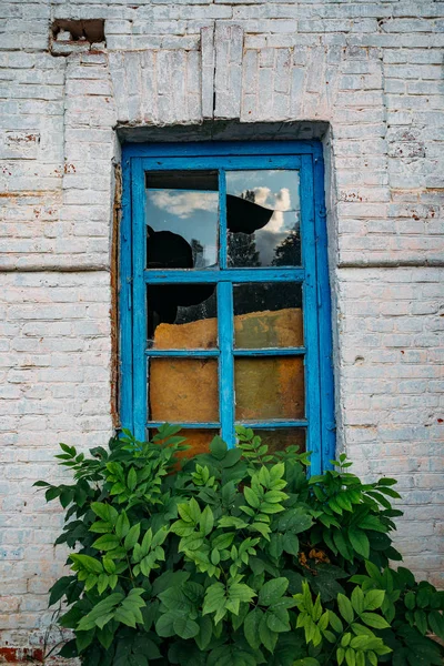 Janela velha de edifício abandonado overgrown — Fotografia de Stock