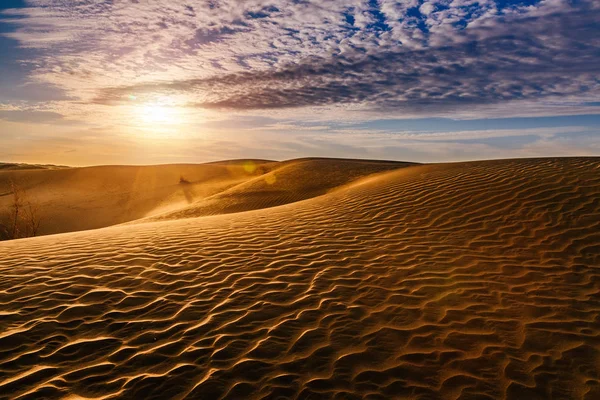 Beau coucher de soleil dans les dunes de sable sur le désert — Photo
