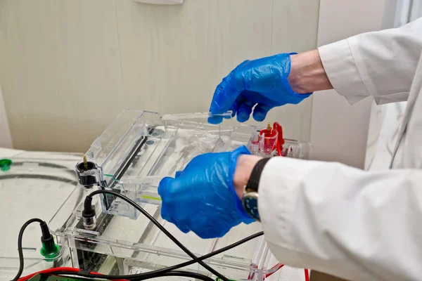 Loading the agarose gel with samples for the separation of DNA f — ストック写真