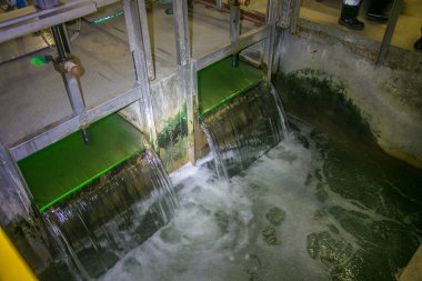 Modern atık su arıtma tesisinde. Suyun arındırılması 