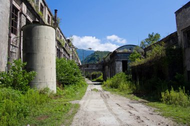 Savaş Tkvarcheli (Tquarh tarafından tahrip terk edilmiş büyümüş kalıntıları