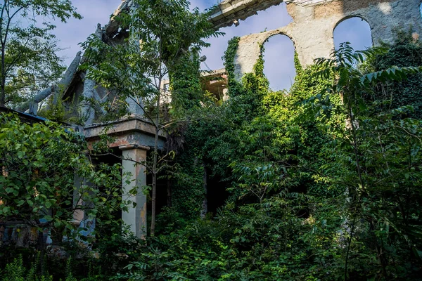 放棄された邸宅、アブハジアの生い茂った遺跡。グリーンポストアポカ — ストック写真