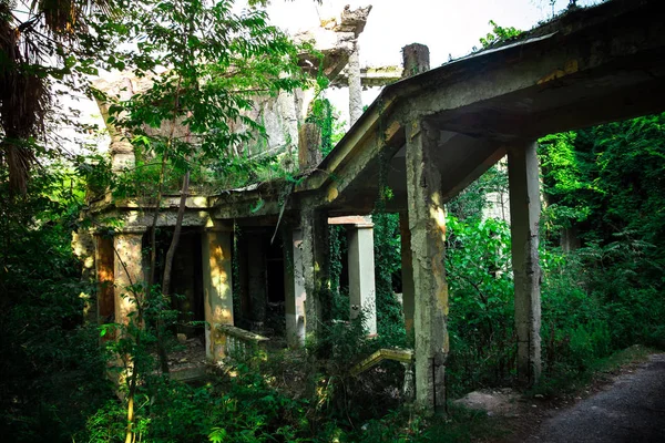 Überwucherte Ruinen eines verlassenen Herrenhauses in Abchasien. grüne Postapokka — Stockfoto