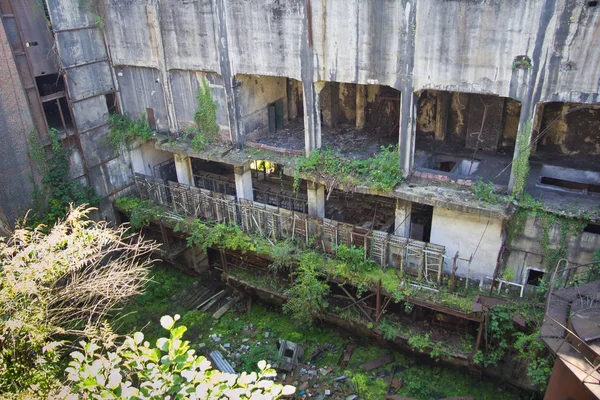 Verlassen überwucherten Ruinen des vom Krieg zerstörten tkvarcheli (tquarh — Stockfoto