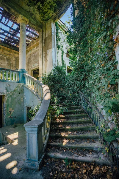 Interior de la mansión arruinada cubierto de plantas cubierto de hiedra spi —  Fotos de Stock