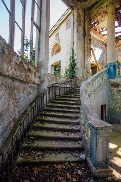 Old overgrown by plants staircase in ruined abandoned mansion — Stock Photo, Image