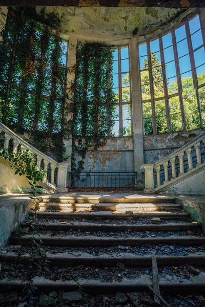 Interior de la mansión arruinada cubierto de plantas cubierto de hiedra ganar —  Fotos de Stock