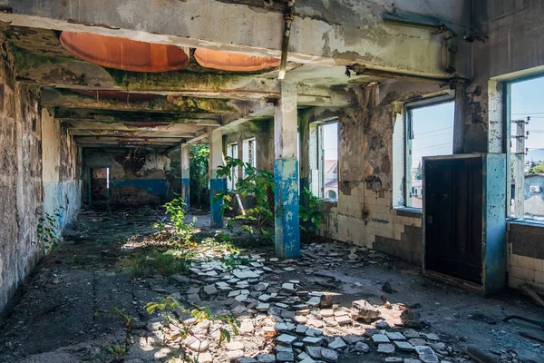 Eski büyümüş terk edilmiş harap sanayi binası