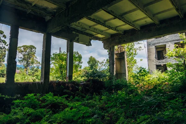 古い生い茂った放棄された廃墟の工業ビル — ストック写真