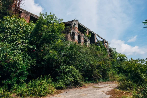 Ruínas cobertas de escola abandonada com marcas de bala, consequen — Fotografia de Stock