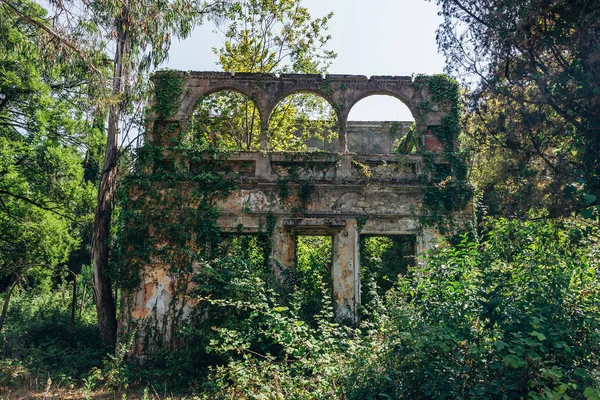 Velho coberto por árvores arruinadas mansão abandonada — Fotografia de Stock