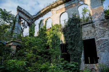 Terk edilmiş malikanenin büyümüş kalıntıları, Abhazya