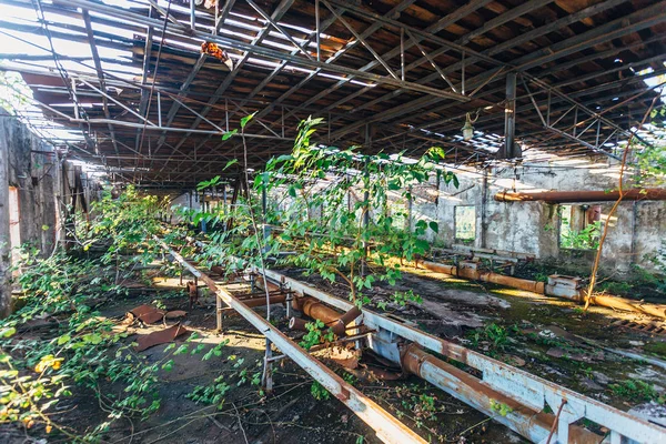 Velho overgrown abandonado arruinado edifício industrial — Fotografia de Stock