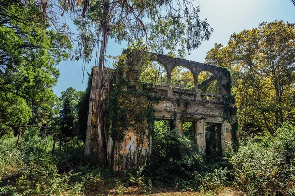 Alte von Bäumen überwuchert verlassene Villa ruiniert — Stockfoto