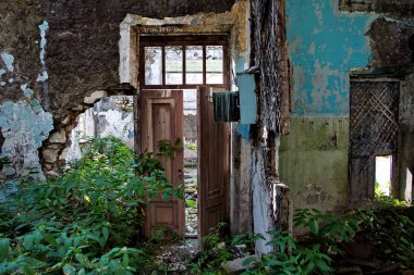 Terk edilmiş bir binanın harap odasında çürümüş kapı, overgro