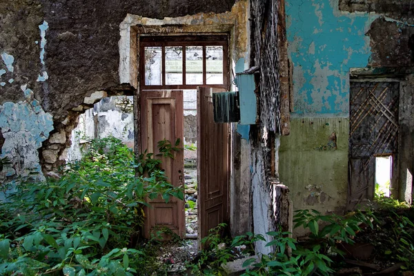 Terk edilmiş bir binanın harap odasında çürümüş kapı, overgro — Stok fotoğraf