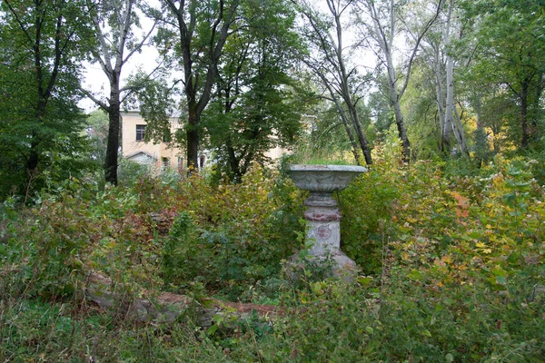 Overgrown by trees ruins of mansion. Abandoned park with broken — Stock Photo, Image