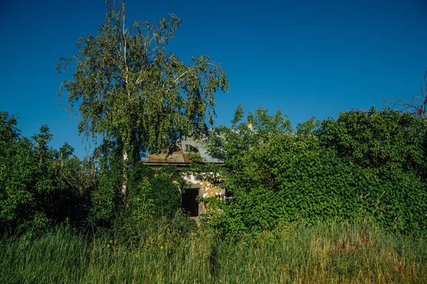 A aldeia russa abandonada. Ruínas da casa rural coberta. Desol. — Fotografia de Stock