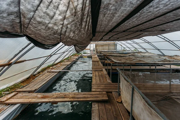 Invernadero con vivero de peces de acuicultura para cultivar pequeño esturión — Foto de Stock