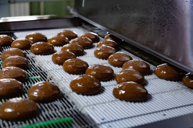 Pişirme üretim hattı. Sır kaplamadan sonra kurabiyeler