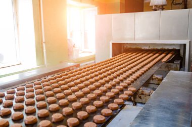 Fırın üretim hattı. Çiğ pişmemiş kurabiyeler birlikte fırına gidiyor.