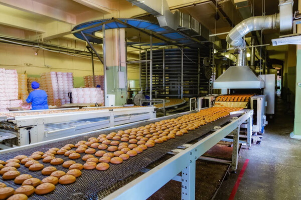 Confectionery factory. Production line of baking cookies. 