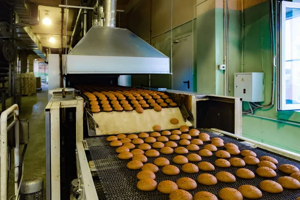 Cukrárna. Výrobní linka pečicích sušenek. — Stock fotografie