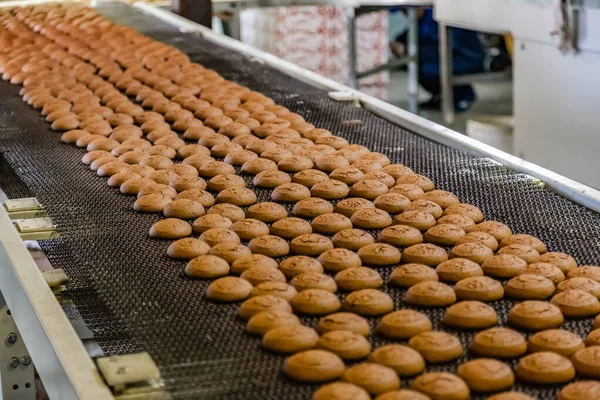 Baking production line. Cookies on conveyor belt — Stock Photo, Image