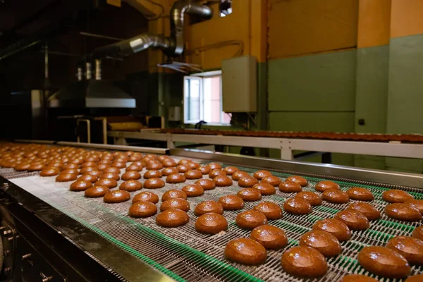 Confectionery factory. Production line of baking cookies. Glazed