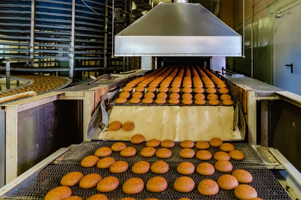 Confectionery factory. Production line of baking cookies. — Stock Photo, Image