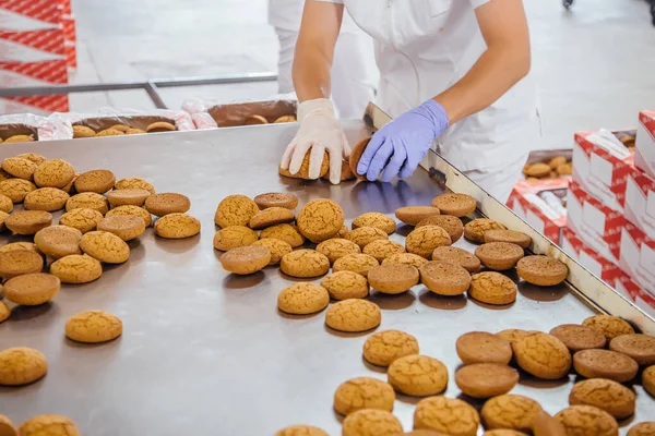 Confectionery workers are sorting and packing oat biscuits on st