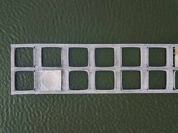 Doğal nehir veya gölette mersin balığı çiftçiliği için kafesler.