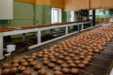 Şekerleme fabrikası. Kurabiye pişirme üretim hattı. Sırlı
