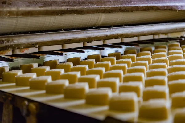 Linha de produção de panificação. Biscoitos crus não cozidos em forma de corações a — Fotografia de Stock