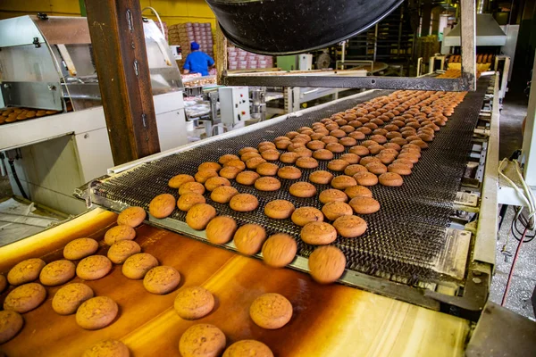 Suikerfabriek. Productielijn van bakkoekjes. Koekje — Stockfoto
