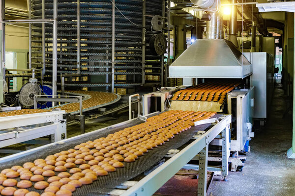 Confectionery factory. Production line of baking cookies. 