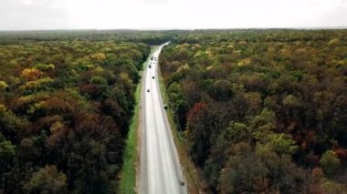 Sonbahar ormanlarında yol üstünde uçmak