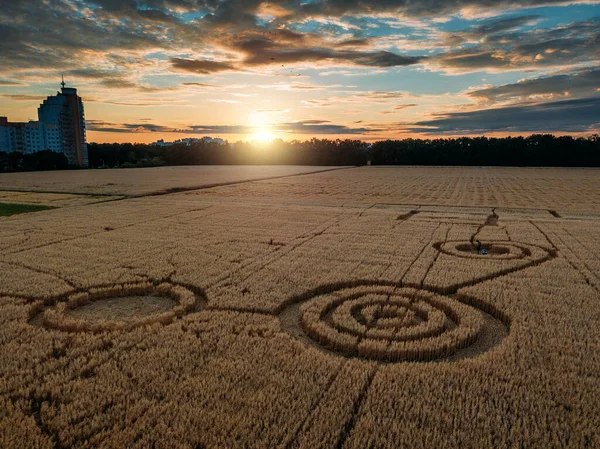 Cercle Mystérieux Dans Champ Avoine Près Ville Coucher Soleil Soir — Photo