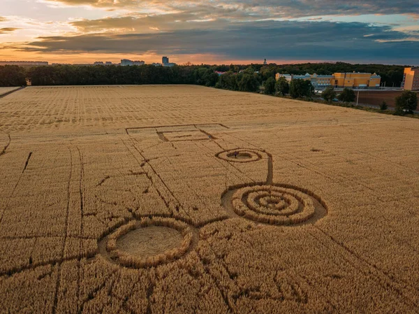 Mysterious crop circle in oat field near the city at the evening sunset.