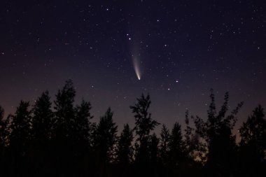 Neowise comet C 2020 F3 above night forest. clipart