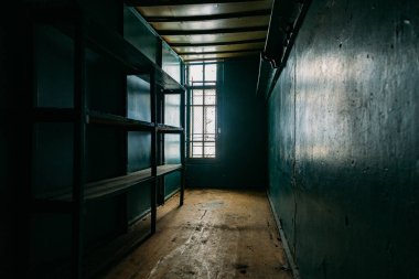 Voronezh Bölgesi 'ndeki eski Orlovka Akıl Hastanesi' nde. Terk edilmiş karanlık akıl hastanesi.