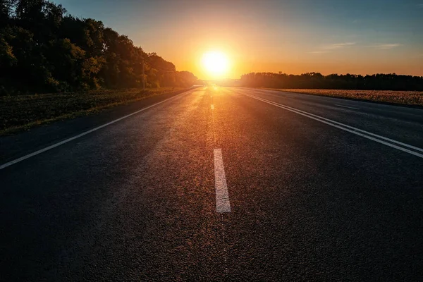 Evening sunlight above the asphalt road at the sunset.