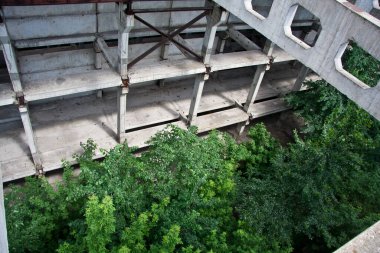 Bitkiler ve ağaçlarla kaplı terk edilmiş eski endüstriyel bina.