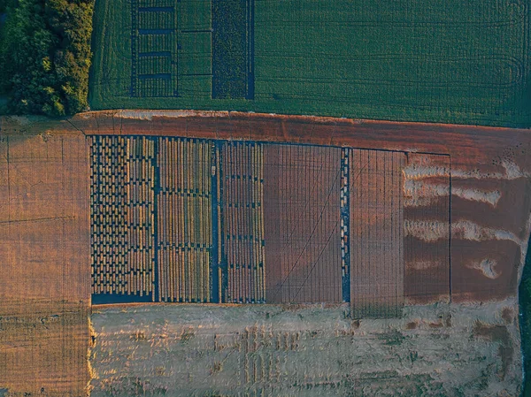 Vue Aérienne Des Champs Agricoles Divisés Parcelles — Photo