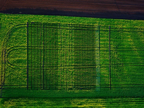 Vue Aérienne Champ Agricole Prise Par Drone — Photo