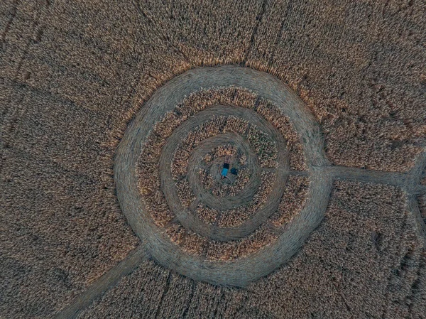 Homme Heureux Sur Crop Circle Dans Champ Avoine Vue Aérienne — Photo